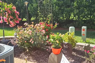 702 Village Lake Dr, Mebane, NC 27302 - Photo 1