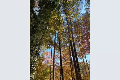 4604 Bartwood Drive, Raleigh, NC 27613 - Photo 34