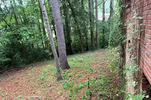 293 Nicholson Rd, Rockingham, NC 28379 - Photo 40