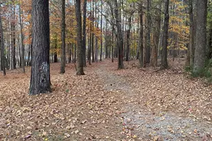 263 Pine Trail, Henderson, NC 27537 - Photo 28