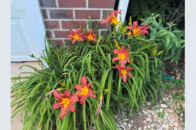 1011 Scotsburg Trail, Hillsborough, NC 27278 - Photo 6