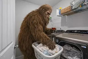 223 Mallard Loop Dr, Clayton, NC 27527 - Photo 24