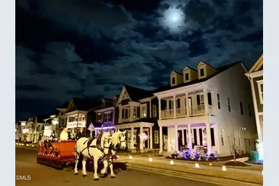 1236 Brown Velvet Lane, Apex, NC 27523 - Photo 24