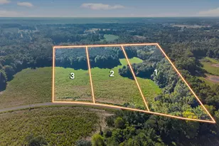 Lot 2 Mitchell Rd, Lillington, NC 27546 - Photo 1