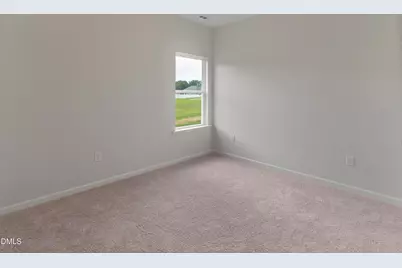 311 White Azalea Way, Benson, NC 27504 - Photo 18