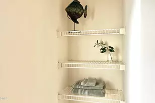 2521 Friedland Pl, Raleigh, NC 27617 - Photo 24