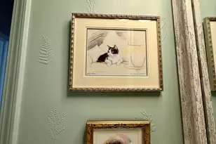 484 Steeplechase Blvd, Clayton, NC 27520 - Photo 22