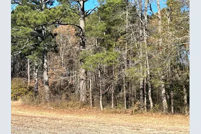 0 Guy Road, Clayton, NC 27520 - Photo 6