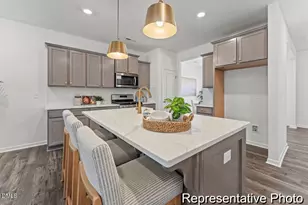 413 Plentiful Wy, Benson, NC 27504 - Photo 6