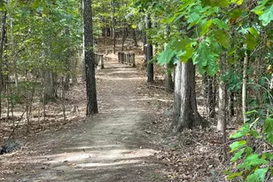 1208 Catch Fly Ln, Durham, NC 27713 - Photo 34