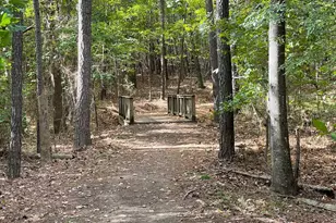 1208 Catch Fly Ln, Durham, NC 27713 - Photo 36