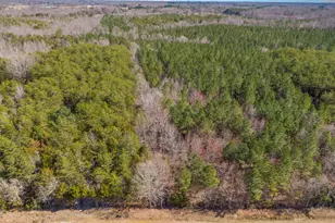 7275 Atkins Rd, Mebane, NC 27302 - Photo 1