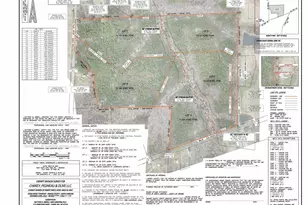 7284 State Hwy 49, Mebane, NC 27302 - Photo 4