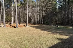 11242 Bissette Rd, Middlesex, NC 27557 - Photo 42