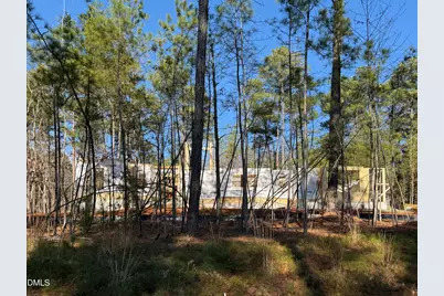 35 Big Bear Drive, Pittsboro, NC 27312 - Photo 6