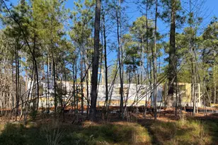 35 Big Bear Dr, Pittsboro, NC 27312 - Photo 6