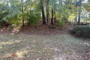 206 Caristonia Way, Apex, NC 27502 - Photo 24