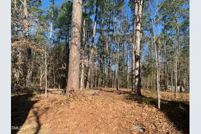 111 Wenonah Way, Durham, NC 27713 - Photo 8