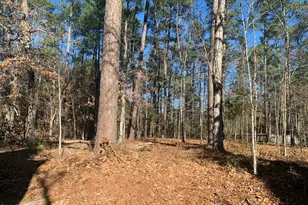 111 Wenonah Way, Durham, NC 27713 - Photo 8