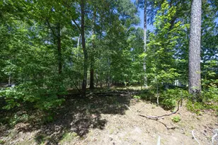 111 Wenonah Way, Durham, NC 27713 - Photo 42