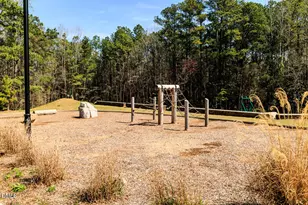 245 Kindness Dr, Lillington, NC 27546 - Photo 40