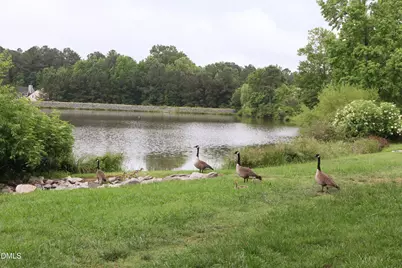 103 Sir Richard Lane, Chapel Hill, NC 27517 - Photo 26