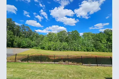 601 Tova Falls Drive, Durham, NC 27703 - Photo 20