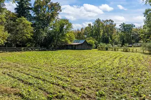 3201 Carl Durham Rd, Chapel Hill, NC 27516 - Photo 14