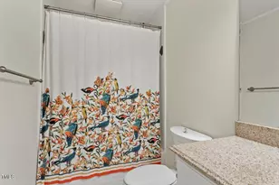 409 Smith Ave, Chapel Hill, NC 27516 - Photo 18