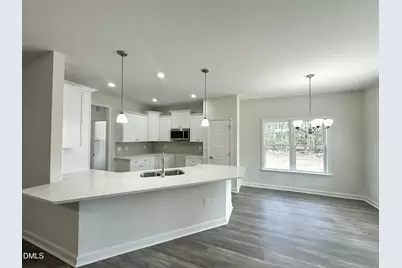 1725 Cardinal Drive, Deep Run, NC 28525 - Photo 4