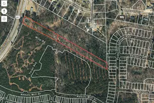 7027 Fayetteville Rd, Raleigh, NC 27603 - Photo 1