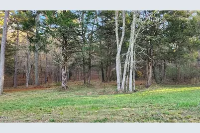 100 Brook Green Lane, Pittsboro, NC 27312 - Photo 1