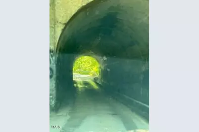 6176 Vein Mountain Road, Nebo, NC 28761 - Photo 4