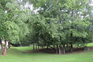 101 Thomas Ln, Carrboro, NC 27510 - Photo 6