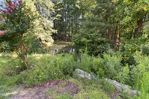 1046 Ponderosa Trail, Cameron, NC 28326 - Photo 48