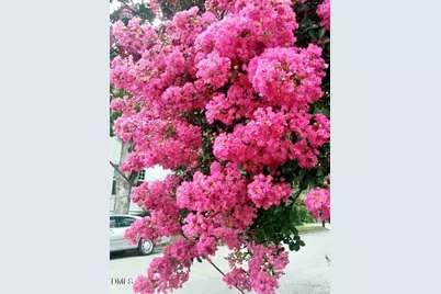 415 E Lane Street, Raleigh, NC 27601 - Photo 56