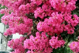 415 E Lane St, Raleigh, NC 27601 - Photo 56