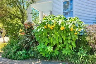 415 E Lane St, Raleigh, NC 27601 - Photo 52