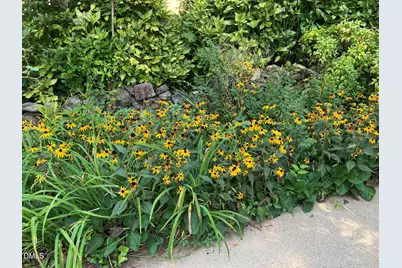 2064 Oxford Road, Henderson, NC 27536 - Photo 66