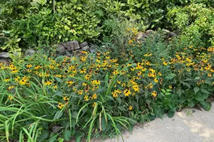 2064 Oxford Rd, Henderson, NC 27536 - Photo 66