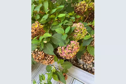 8019 Satillo Lane, Raleigh, NC 27616 - Photo 26