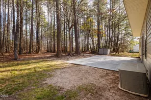 2109 Star Sapphire Dr, Raleigh, NC 27610 - Photo 34