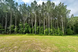 437 Earnest Wy, Kenly, NC 27542 - Photo 22