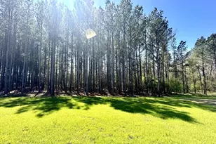 437 Earnest Wy, Kenly, NC 27542 - Photo 26