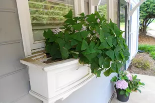 1402 Barton Pl Dr, Raleigh, NC 27608 - Photo 24