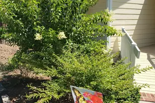 1424 Mapleside Ct, Raleigh, NC 27609 - Photo 64