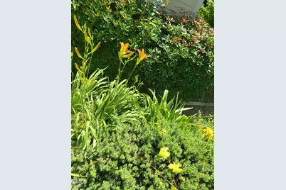 1424 Mapleside Court, Raleigh, NC 27609 - Photo 66