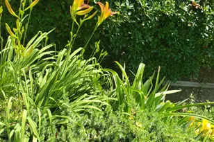 1424 Mapleside Ct, Raleigh, NC 27609 - Photo 66