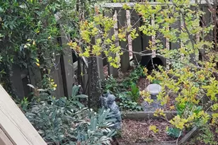 1424 Mapleside Ct, Raleigh, NC 27609 - Photo 58