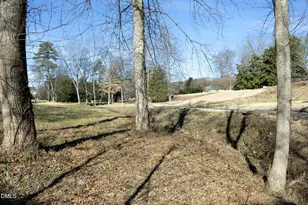 2705 Peachleaf St, Raleigh, NC 27614 - Photo 54